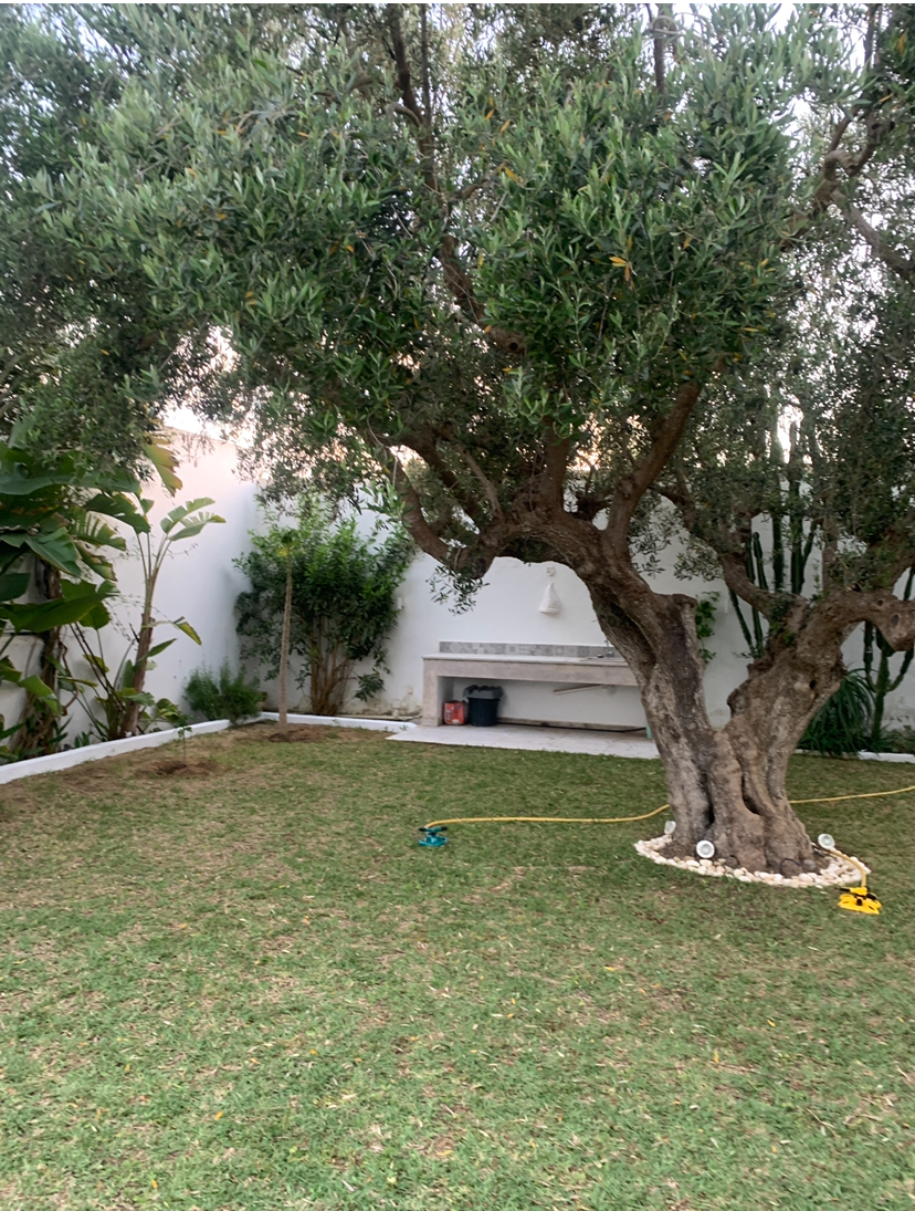 Hammamet&nbsp;Hammamet&nbsp;Location vacances&nbsp;Maisons&nbsp;Villa s4 picine et grande jardin