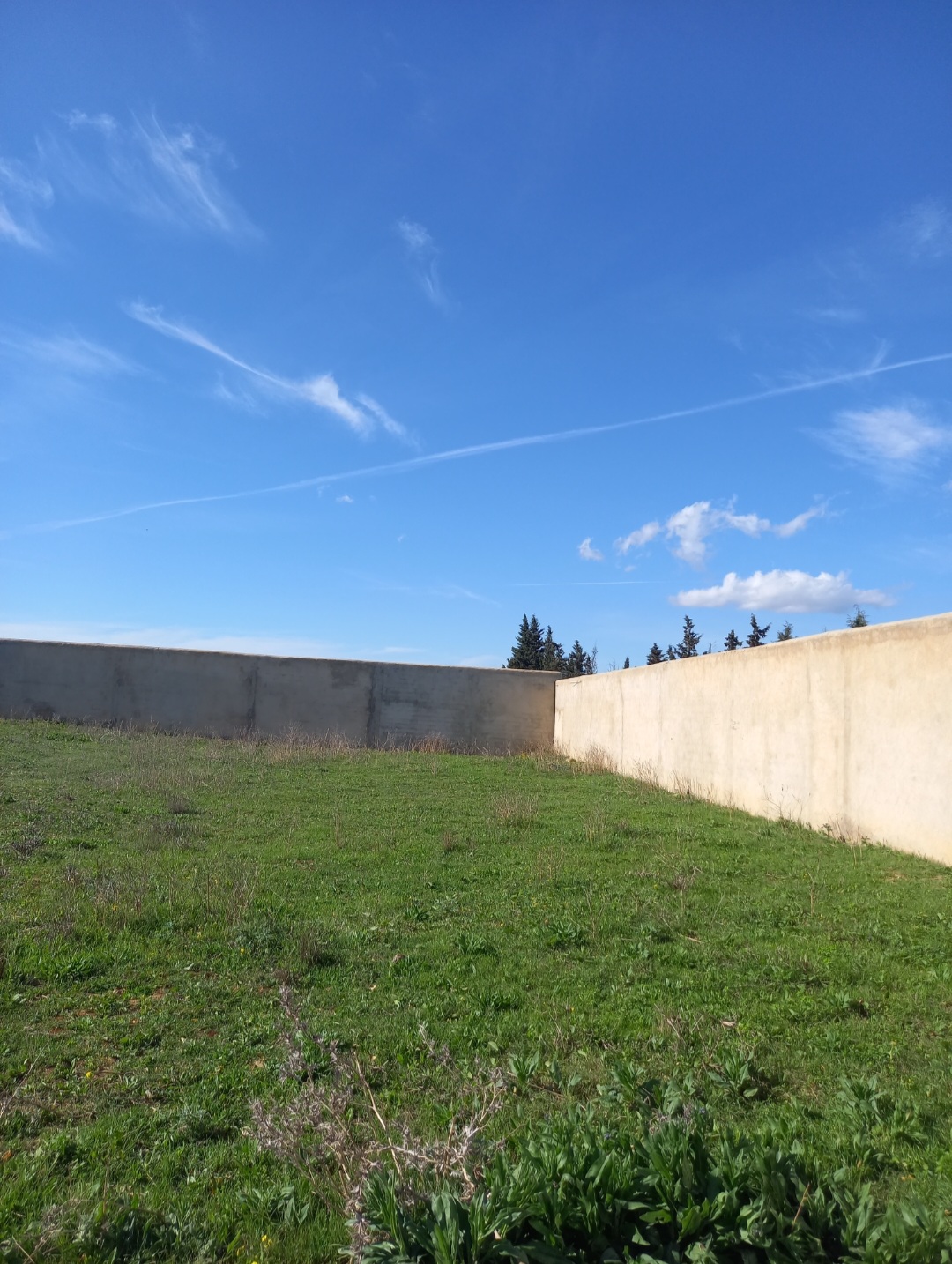 Hammamet&nbsp;Sidi Jedidi&nbsp;Terrain&nbsp;Terrain agricole&nbsp;Terrain cl�tur�  � hammamet