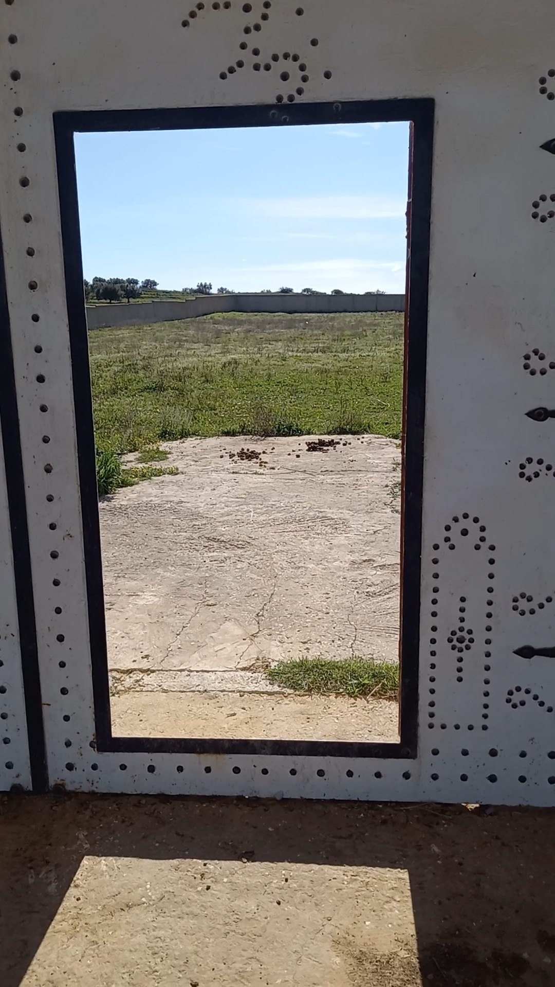 Hammamet&nbsp;Sidi Jedidi&nbsp;Terrain&nbsp;Terrain agricole&nbsp;Terrain cl�tur�  � hammamet