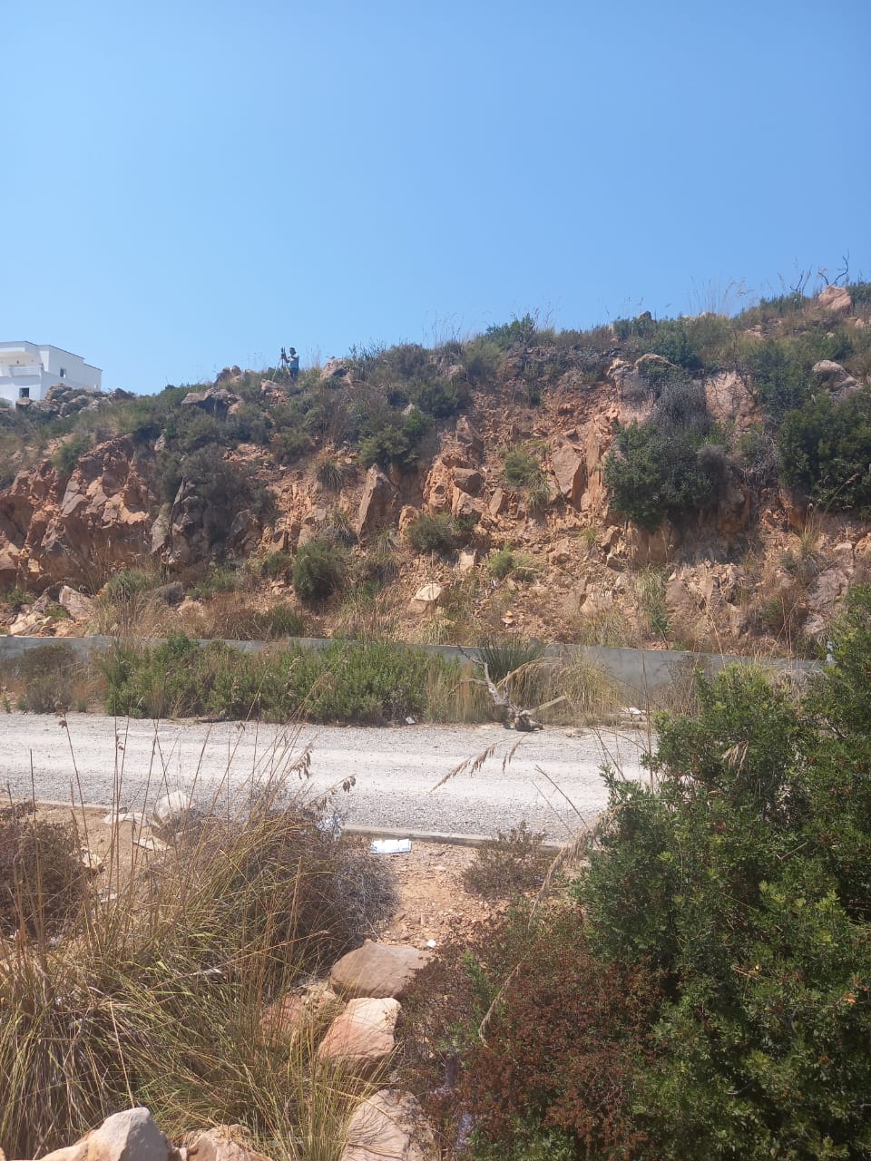 Tabarka&nbsp;Tabarka&nbsp;Terrain&nbsp;Terrain nu&nbsp;Lotissement larmel