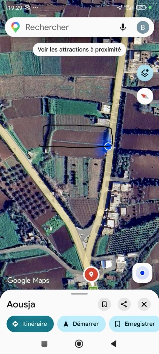 Ghar El Melh&nbsp;Ghar El Melh&nbsp;Terrain&nbsp;Terrain agricole&nbsp;Terrain 2600 mettre carr�s