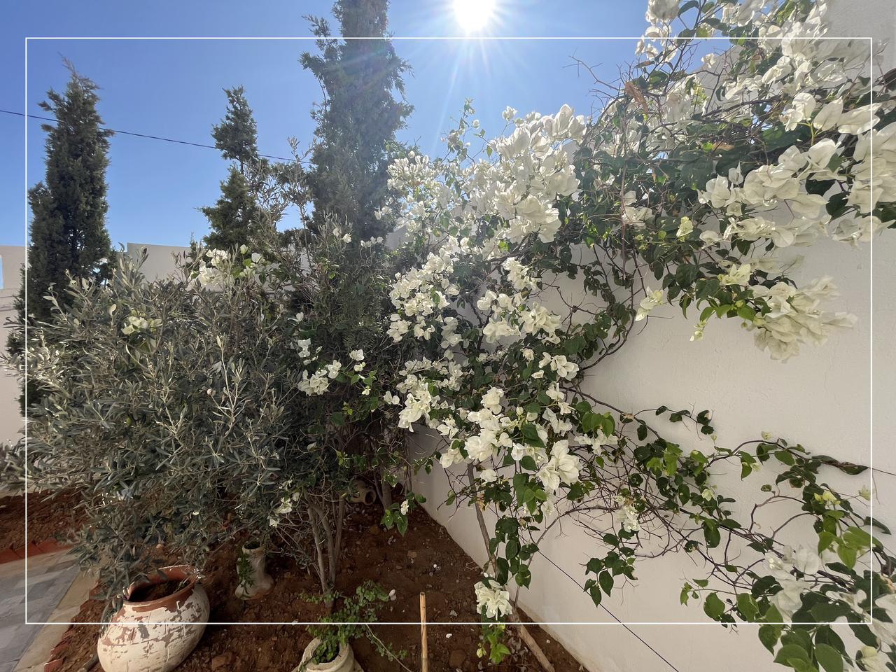 Bou Ficha&nbsp;Sidi Mtir&nbsp;Vente&nbsp;Maisons&nbsp;Villa � sidi mtir  10 min de yasmine hammamet