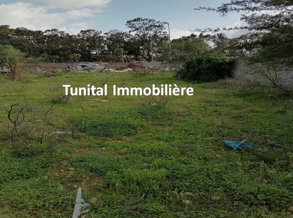 Ain Zaghouan&nbsp;Ain Zaghouan&nbsp;Terrain&nbsp;Terrain nu&nbsp;Bon emplacement terrain � ain zagouan