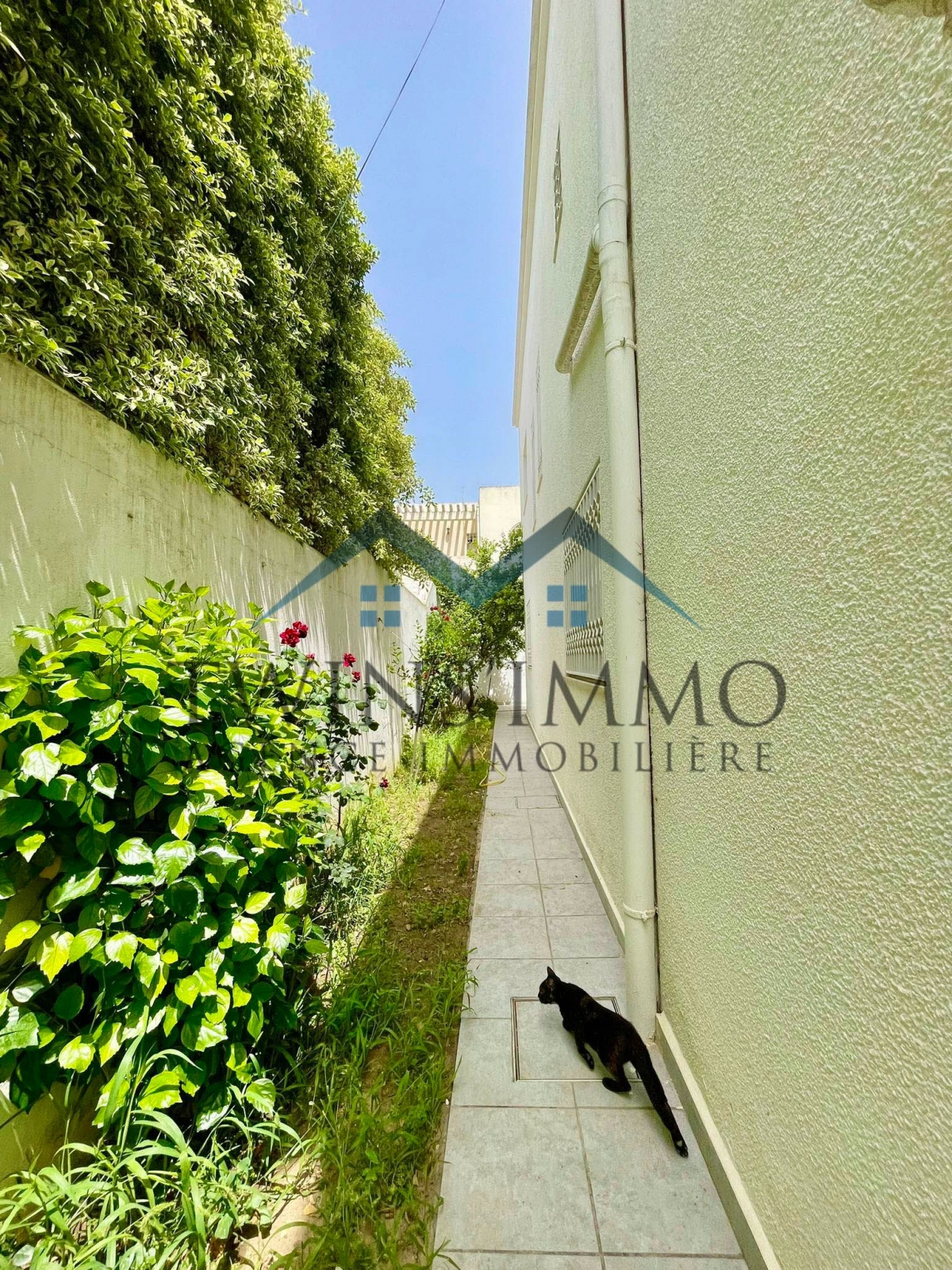 La Marsa&nbsp;Marsa Erriadh&nbsp;Vente&nbsp;Maisons&nbsp;Belle villa en s5 � la marsa