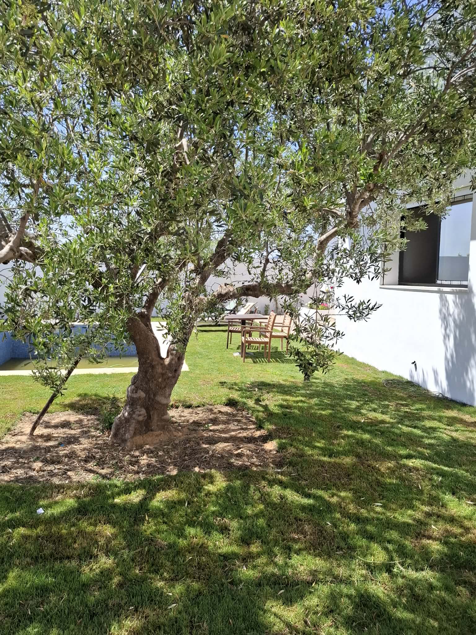 Hammamet&nbsp;Hammamet&nbsp;Vente&nbsp;Maisons&nbsp;Av villa 650m finie � hammamet sud