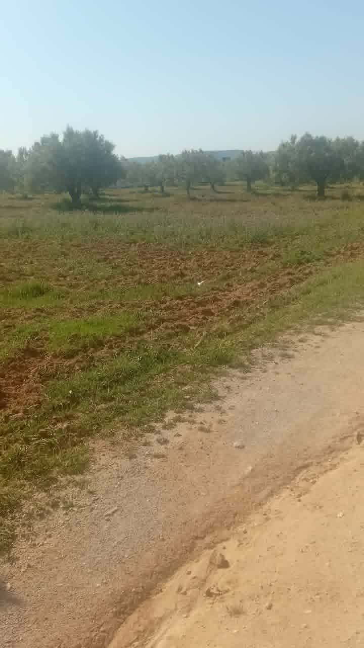Hammamet&nbsp;Hammamet&nbsp;Terrain&nbsp;Terrain nu&nbsp;Beau terrain 1000m proche hammamet yasmine