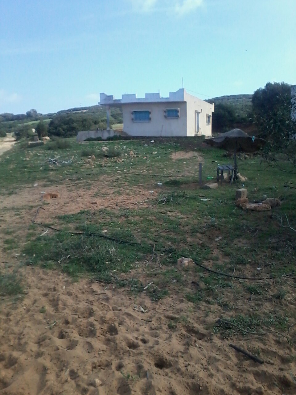 El Haouaria&nbsp;Zaouiet El Mgaies&nbsp;Terrain&nbsp;Terrain nu&nbsp;Terrain en face de la plage