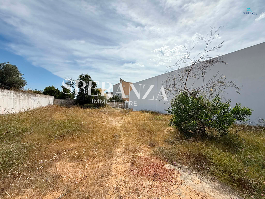 Hammamet&nbsp;Hammamet&nbsp;Vente&nbsp;Surfaces&nbsp;Terrain olivaire