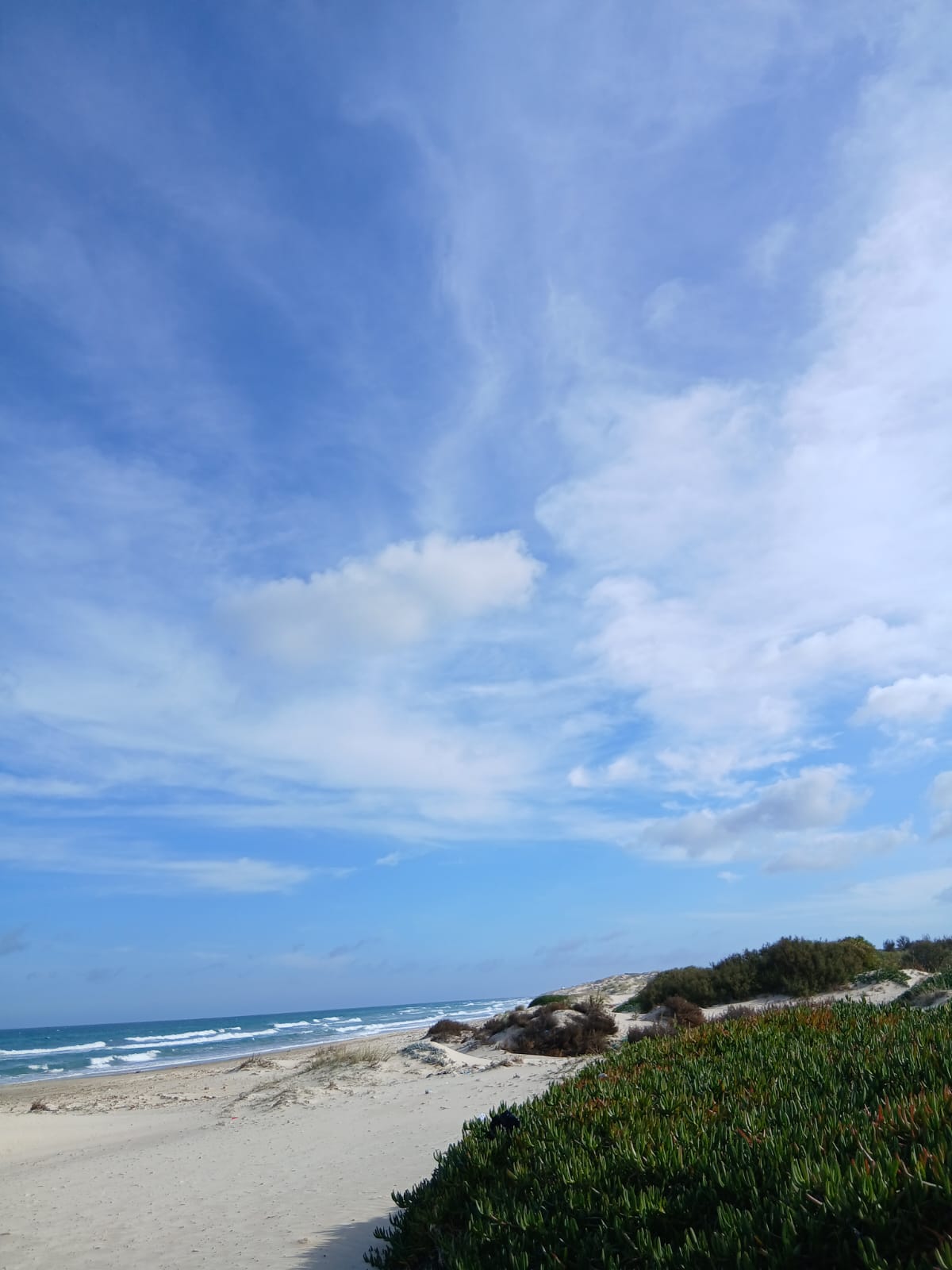 Ras Jebel&nbsp;Cite Kaa El Ballout&nbsp;Vente&nbsp;Surfaces&nbsp;Maison s 2  terrain 310 m 2 route plage