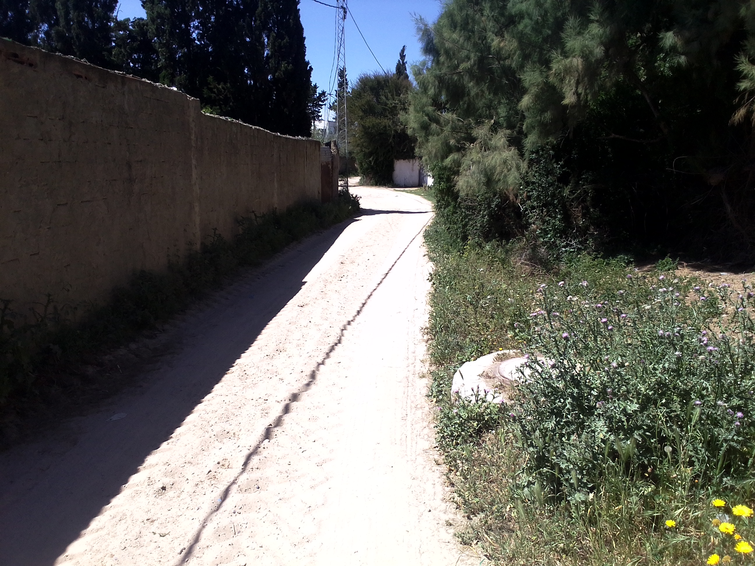 Ras Jebel&nbsp;Cite Kaa El Ballout&nbsp;Vente&nbsp;Surfaces&nbsp;Maison s 2  terrain 310 m 2 route plage