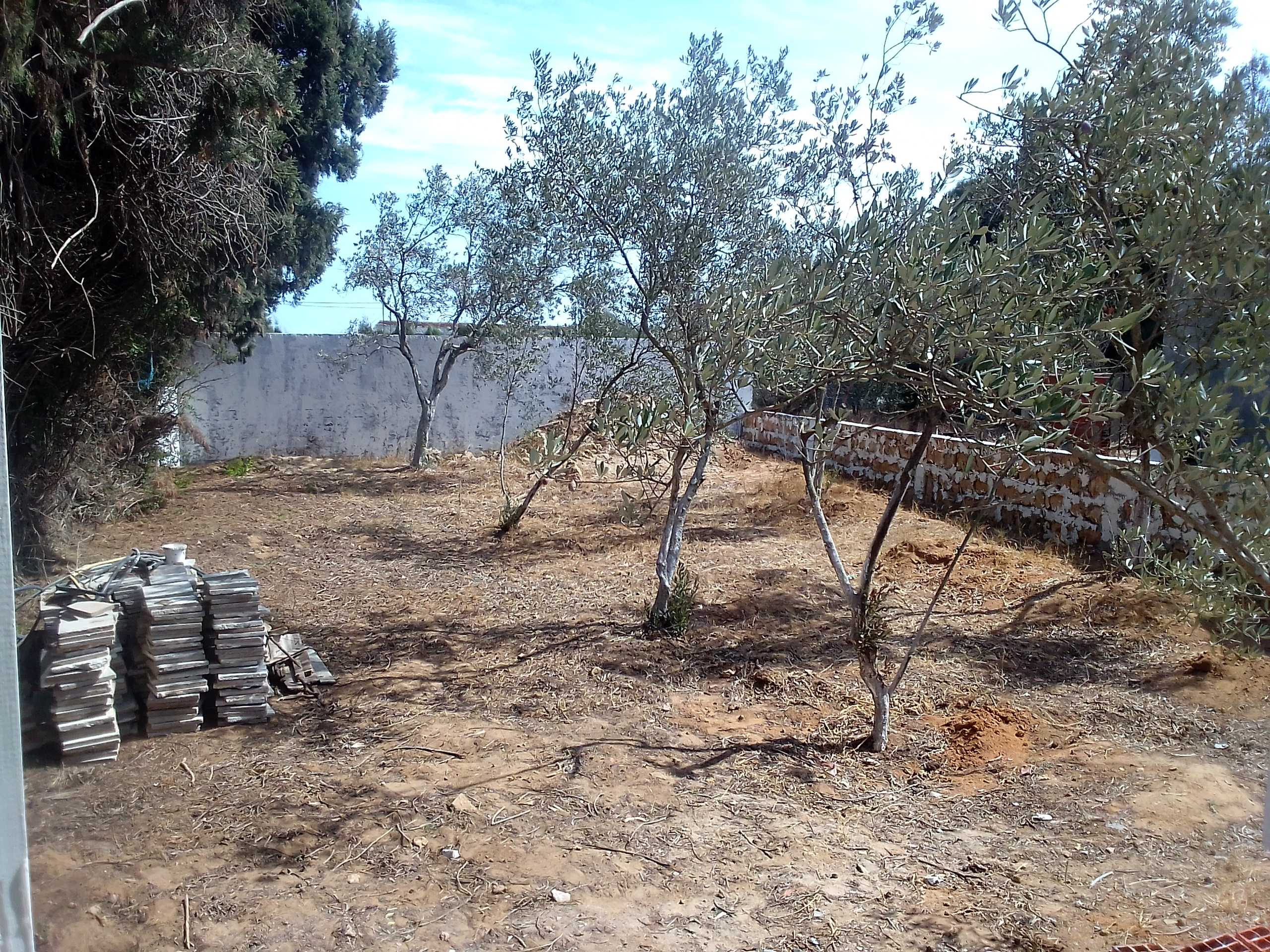 Ras Jebel&nbsp;Cite Kaa El Ballout&nbsp;Vente&nbsp;Maisons&nbsp;Maison s 2  terrain 310 m 2 route plage mami
