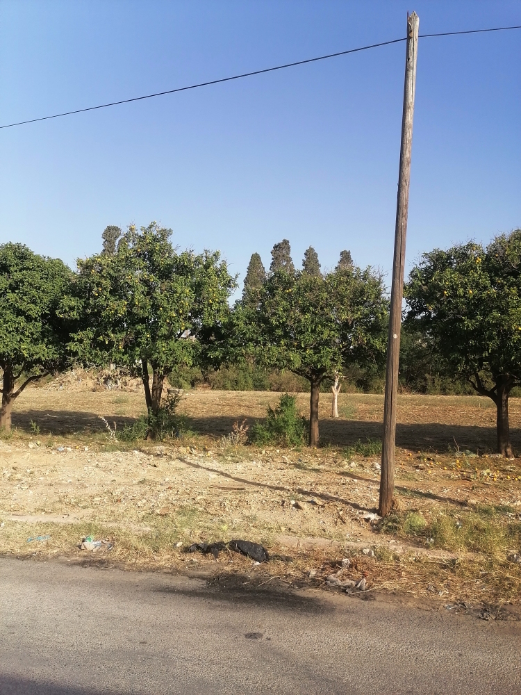 Nabeul&nbsp;Cite Industrielle&nbsp;Terrain&nbsp;Terrain nu&nbsp;Terrain nu pour habitation m�trage 398m2