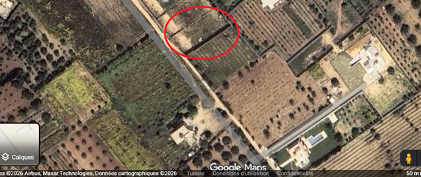 Bou Argoub&nbsp;Borj Hafaiedh&nbsp;Terrain&nbsp;Terrain nu&nbsp;Magnifique terrain � borj hafaiedh
