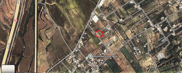 Bou Argoub&nbsp;Borj Hafaiedh&nbsp;Terrain&nbsp;Terrain nu&nbsp;Magnifique terrain � borj hafaiedh