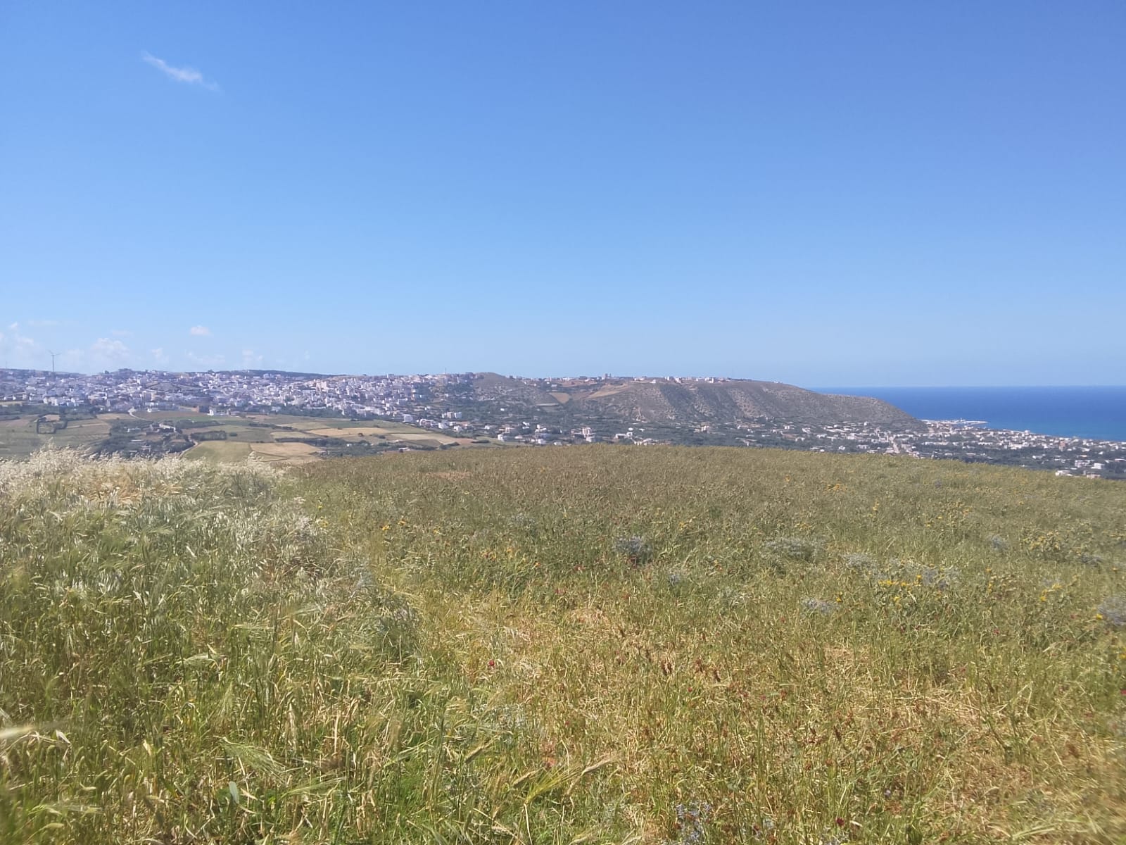 Ras Jebel&nbsp;Beni Atta&nbsp;Terrain&nbsp;Terrain nu&nbsp;Terrain 1 hectare � ras jebal bizerte beni atta