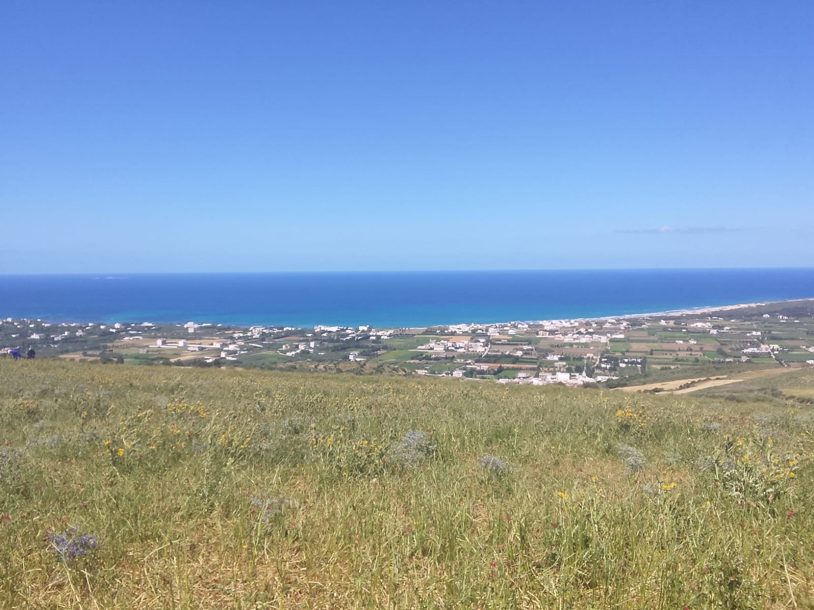 Ras Jebel&nbsp;Beni Atta&nbsp;Terrain&nbsp;Terrain nu&nbsp;Terrain 1 hectare � ras jebal bizerte beni atta