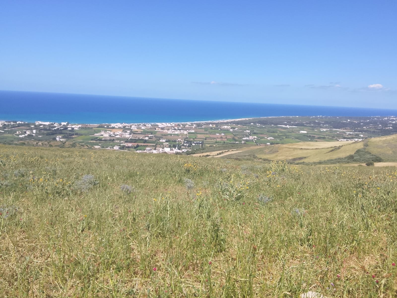 Ras Jebel&nbsp;Beni Atta&nbsp;Terrain&nbsp;Terrain nu&nbsp;Terrain 1 hectare � ras jebal bizerte beni atta