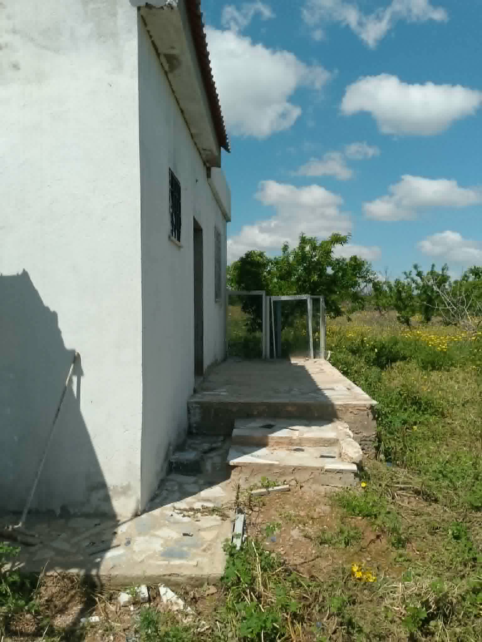Jedaida&nbsp;Chaouat&nbsp;Terrain&nbsp;Terrain agricole&nbsp;Ferme � chaouat jedeid
