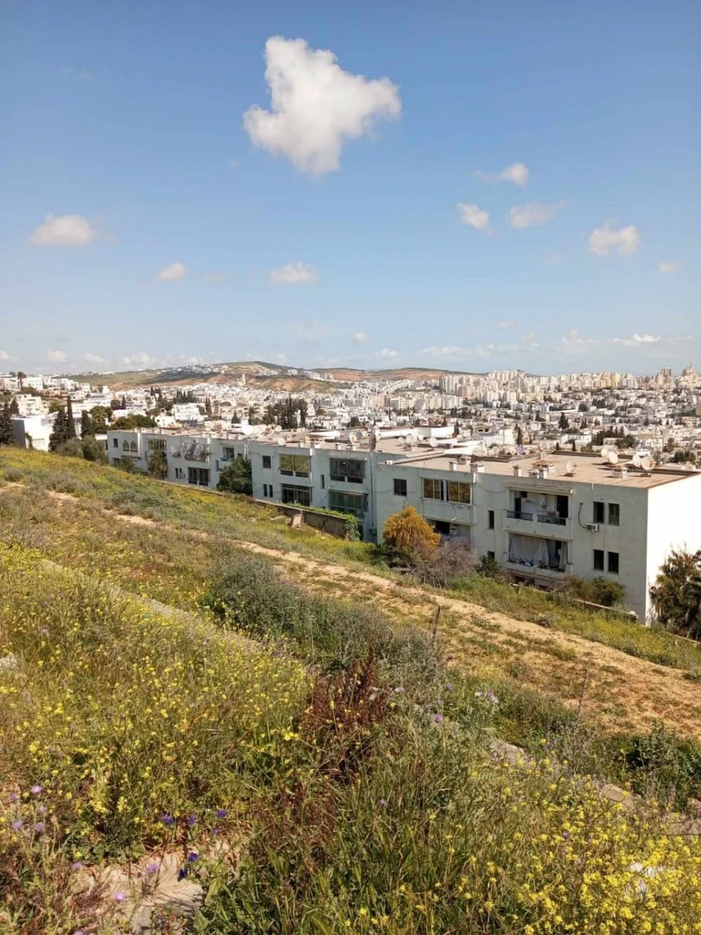El Menzah&nbsp;El Manar 2&nbsp;Terrain&nbsp;Terrain agricole&nbsp;Terrain exceptionnel situ�