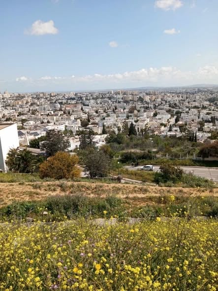 El Menzah&nbsp;El Manar 2&nbsp;Terrain&nbsp;Terrain agricole&nbsp;Terrain exceptionnel situ�