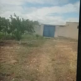 Testour&nbsp;Esslouguia&nbsp;Terrain&nbsp;Terrain agricole&nbsp;6 hectares goutte a goutte