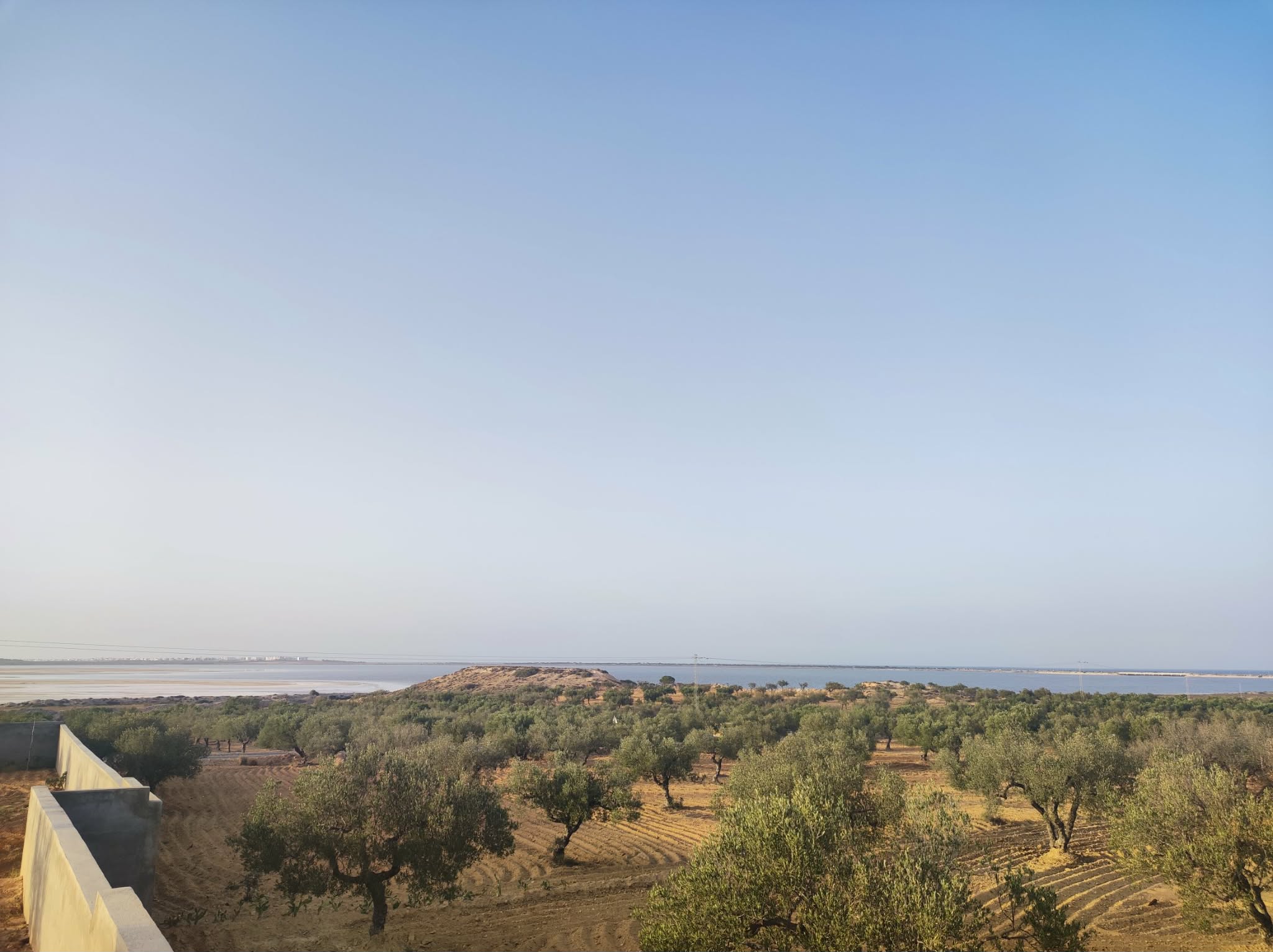 Sidi Bou Ali&nbsp;Sidi Bou Ali&nbsp;Terrain&nbsp;Terrain agricole&nbsp;Terrain avec vue panoramique foukaia