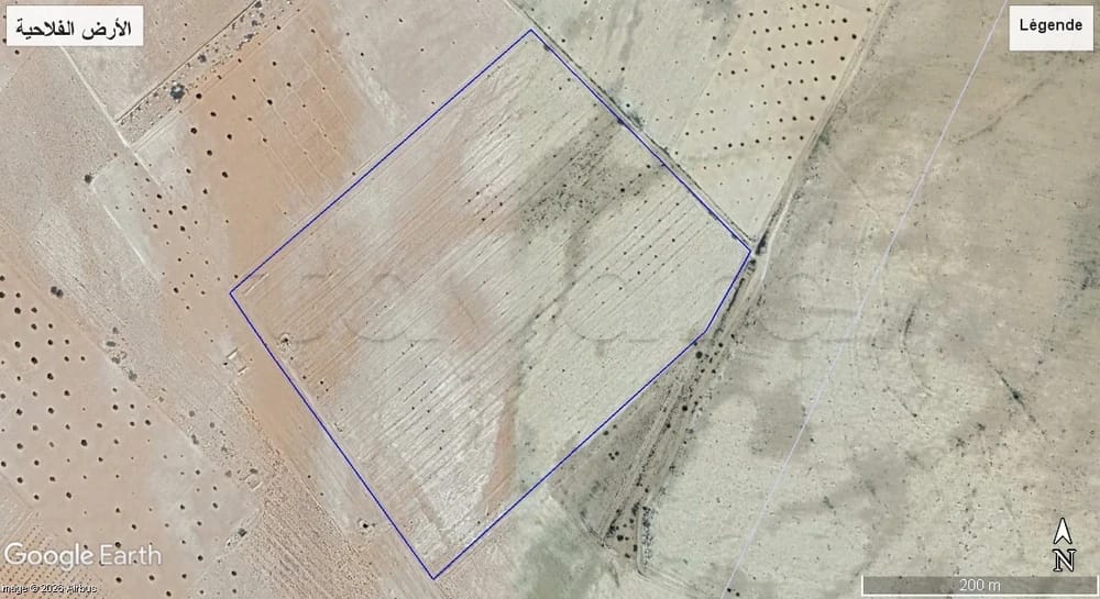 Regueb&nbsp;Ksar El Hammam&nbsp;Terrain&nbsp;Terrain agricole&nbsp;Terrain agricole regueb