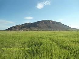 Thala&nbsp;Eddachra&nbsp;Terrain&nbsp;Terrain agricole&nbsp;Terrains agricoles a eddachra baharet ras el kef