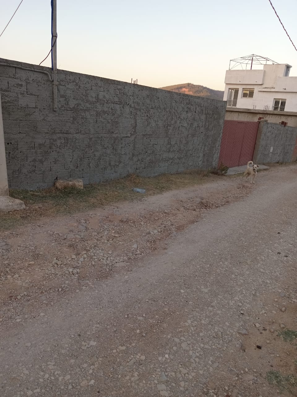 Tabarka&nbsp;El Haouamdia&nbsp;Vente&nbsp;Maisons&nbsp;Bel terrain avec vue sur mer