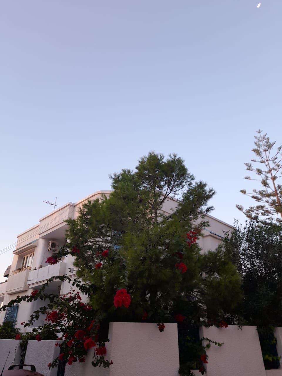 Ariana Ville&nbsp;El Menzah 7&nbsp;Vente&nbsp;Maisons&nbsp;Villa 3 niveaux