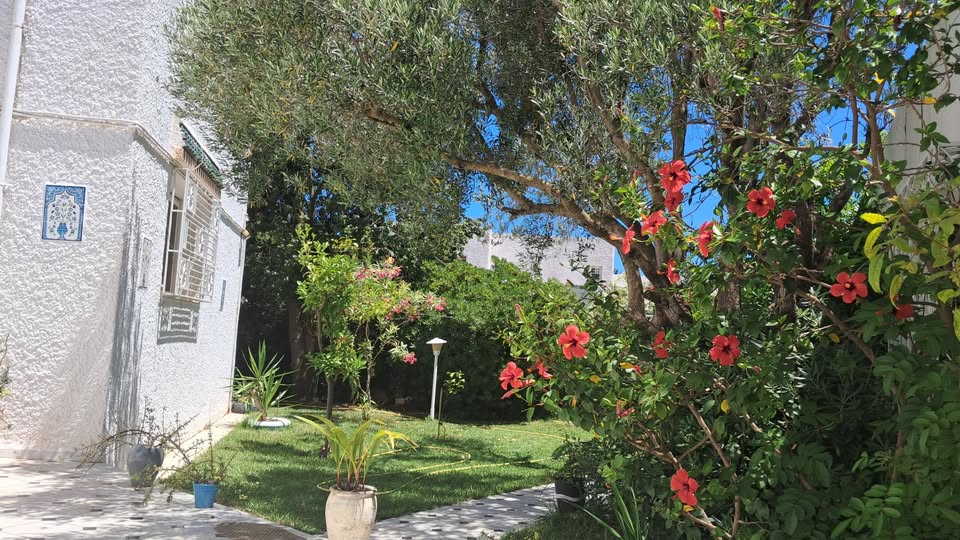 Hammamet&nbsp;Zone Hoteliere&nbsp;Location&nbsp;Appart. 3 pi�ces&nbsp;Agr�able duplex hammamet nord