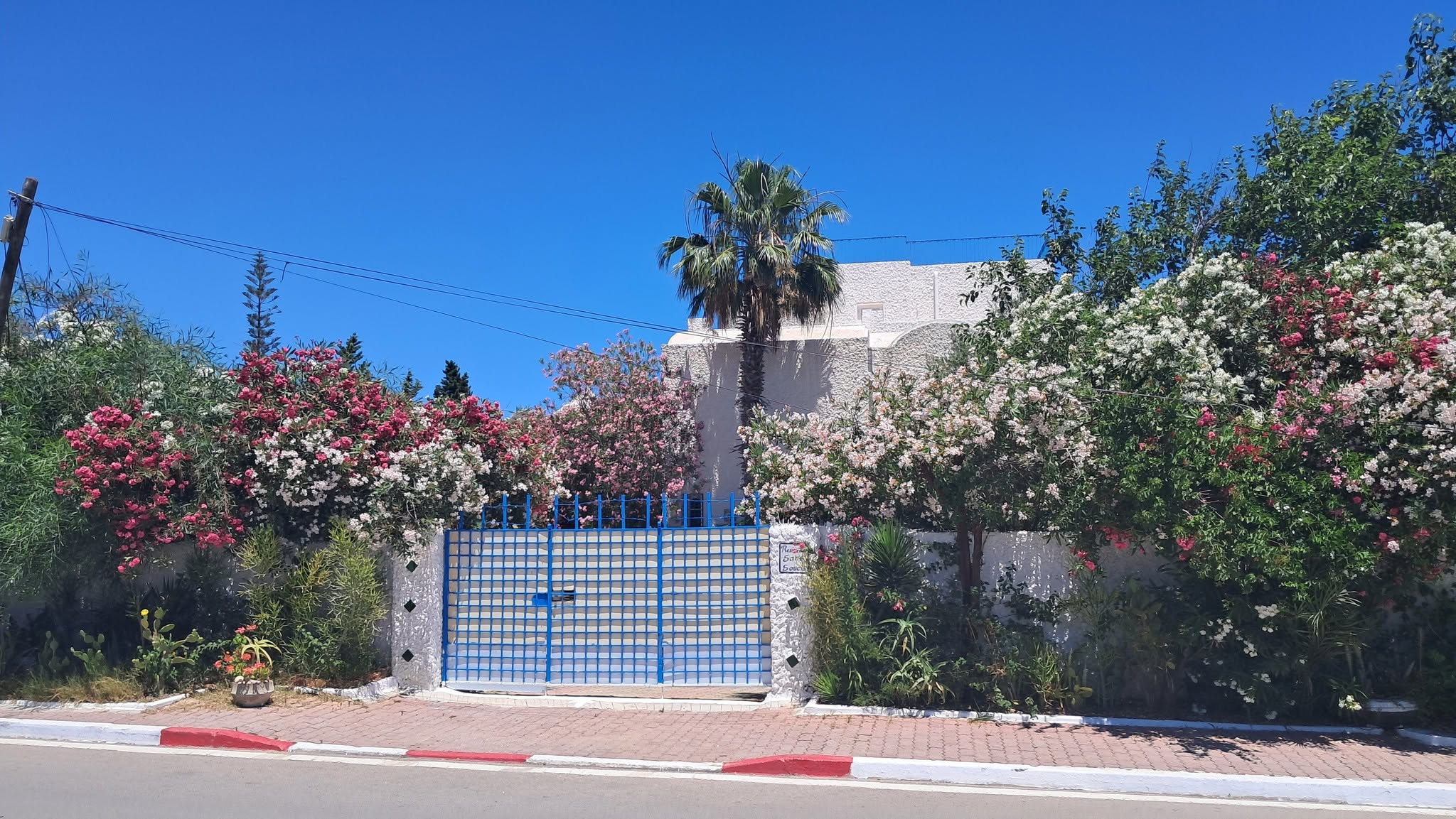 Hammamet&nbsp;Zone Hoteliere&nbsp;Location&nbsp;Appart. 1 pi�ce&nbsp;Bel apt pres hotel nahrawas hammamet nord
