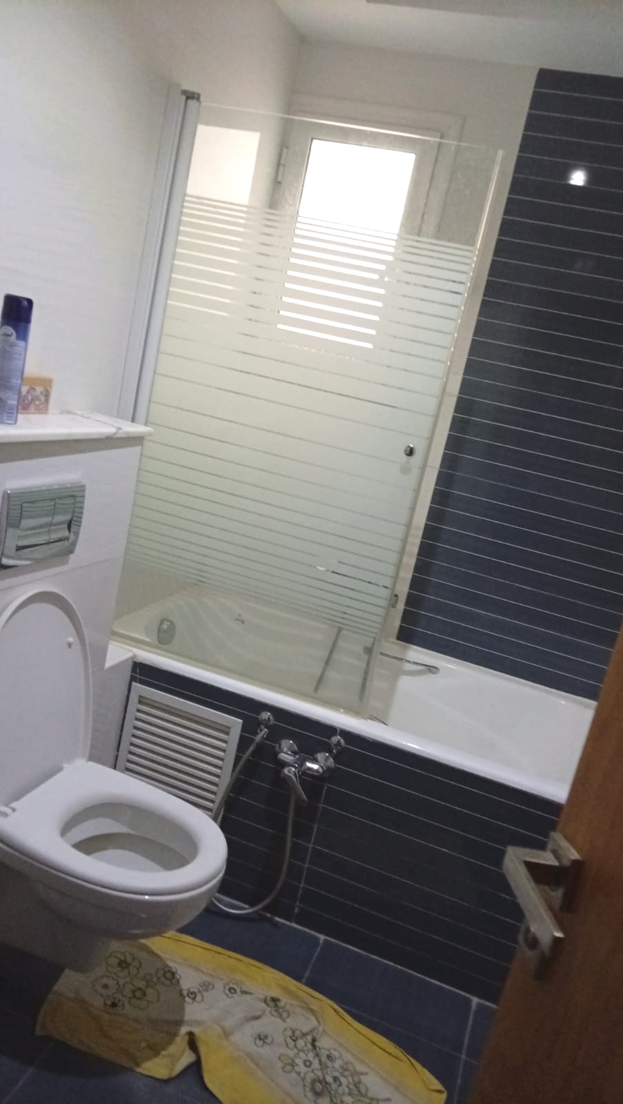 Ariana Ville&nbsp;Cite Ennasr 1&nbsp;Location&nbsp;Appart. 3 pi�ces&nbsp;Grand s2 meubl� c�t� clinique amilcar