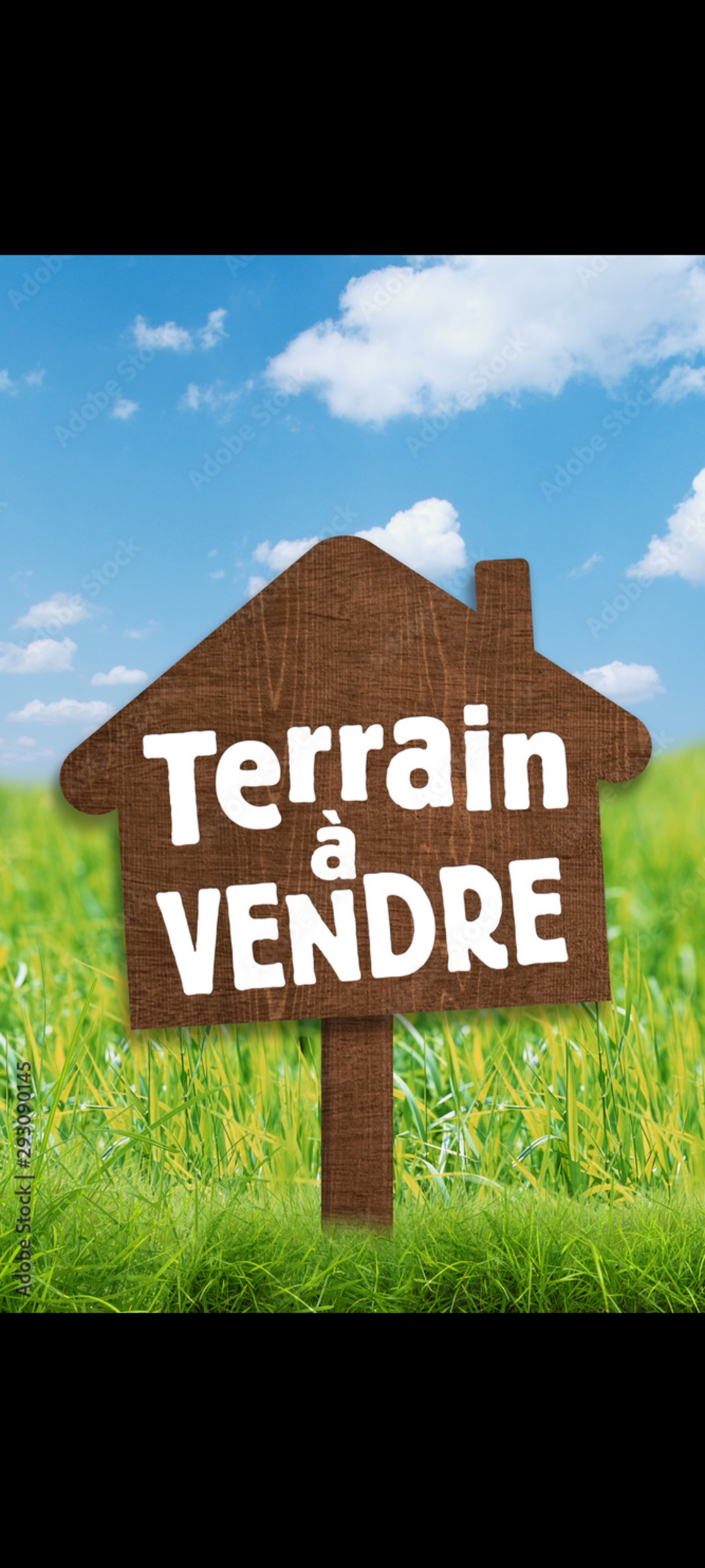 Djerba - Houmet Essouk&nbsp;Mezraya&nbsp;Terrain&nbsp;Terrain nu&nbsp;Cherche terrain
