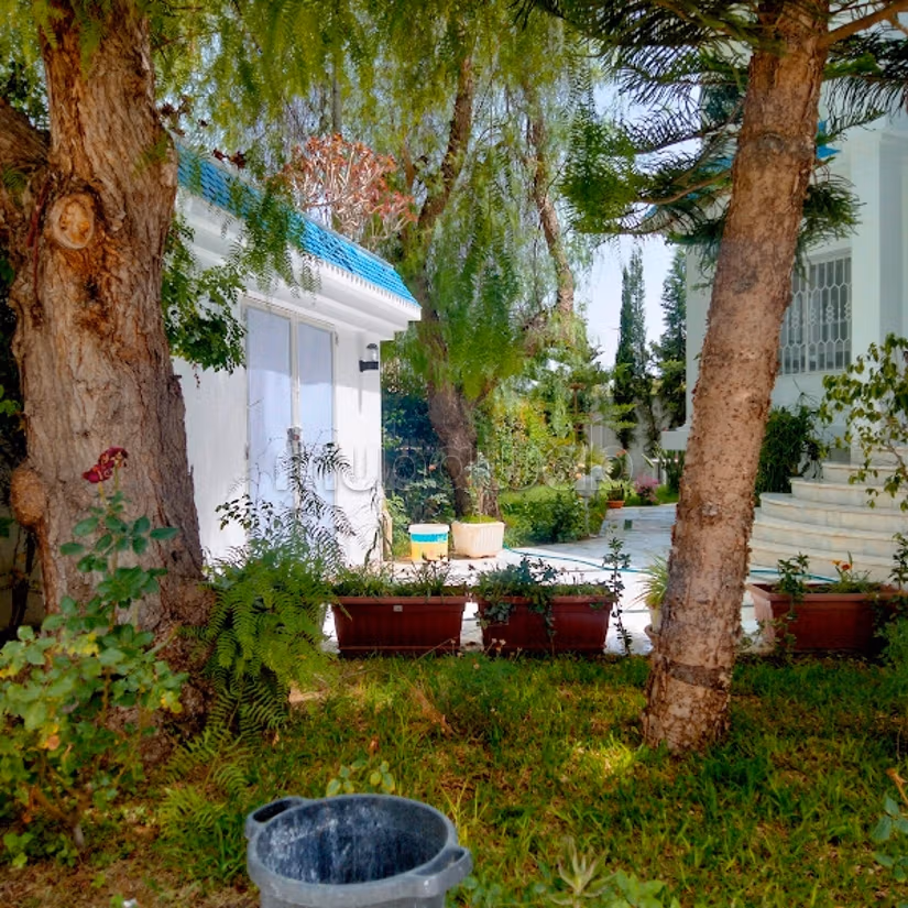 La Marsa&nbsp;El Aouina&nbsp;Vente&nbsp;Maisons&nbsp;Grande villa commerciale