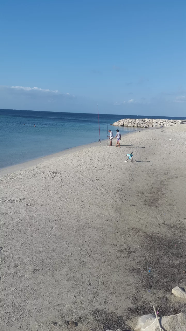 Kelibia&nbsp;Kelibia&nbsp;Location vacances&nbsp;Appart. 4 pi�ces&nbsp;Appartements hs � 20 m�tres de la mer � kelibia
