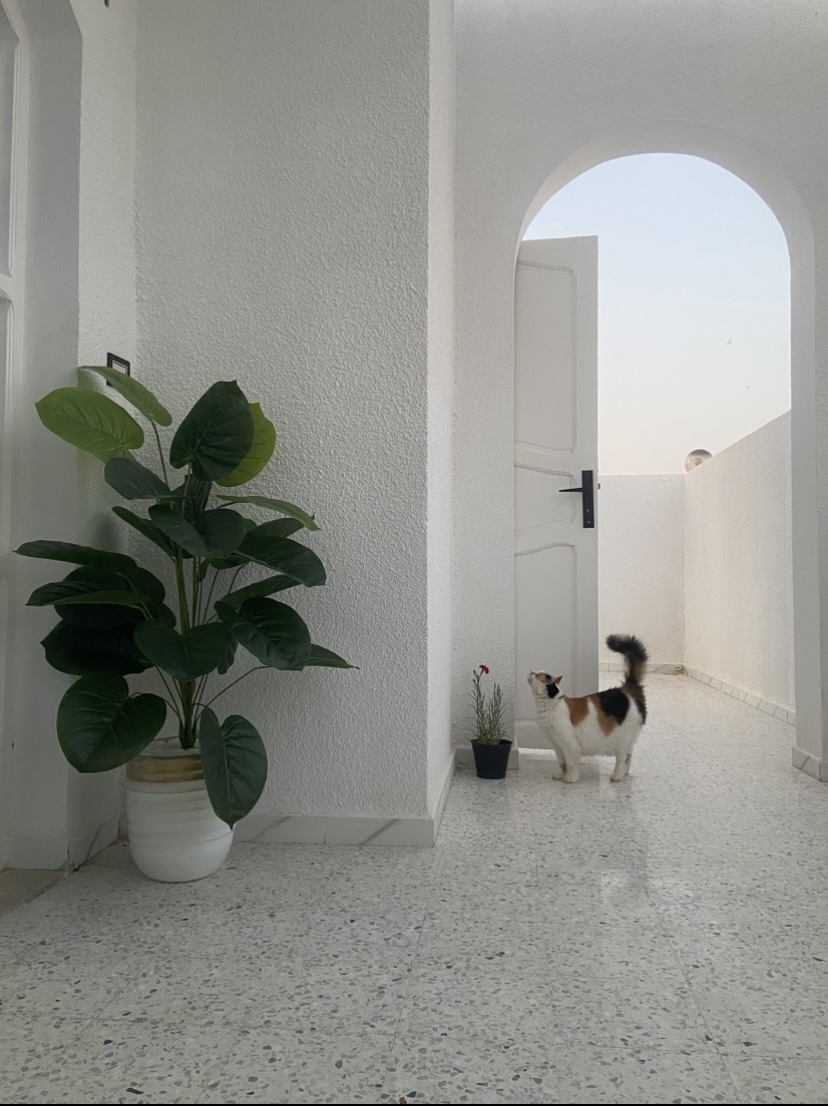 Sousse Riadh&nbsp;Sousse Riadh&nbsp;Vente&nbsp;Maisons&nbsp;Villa � sousse
