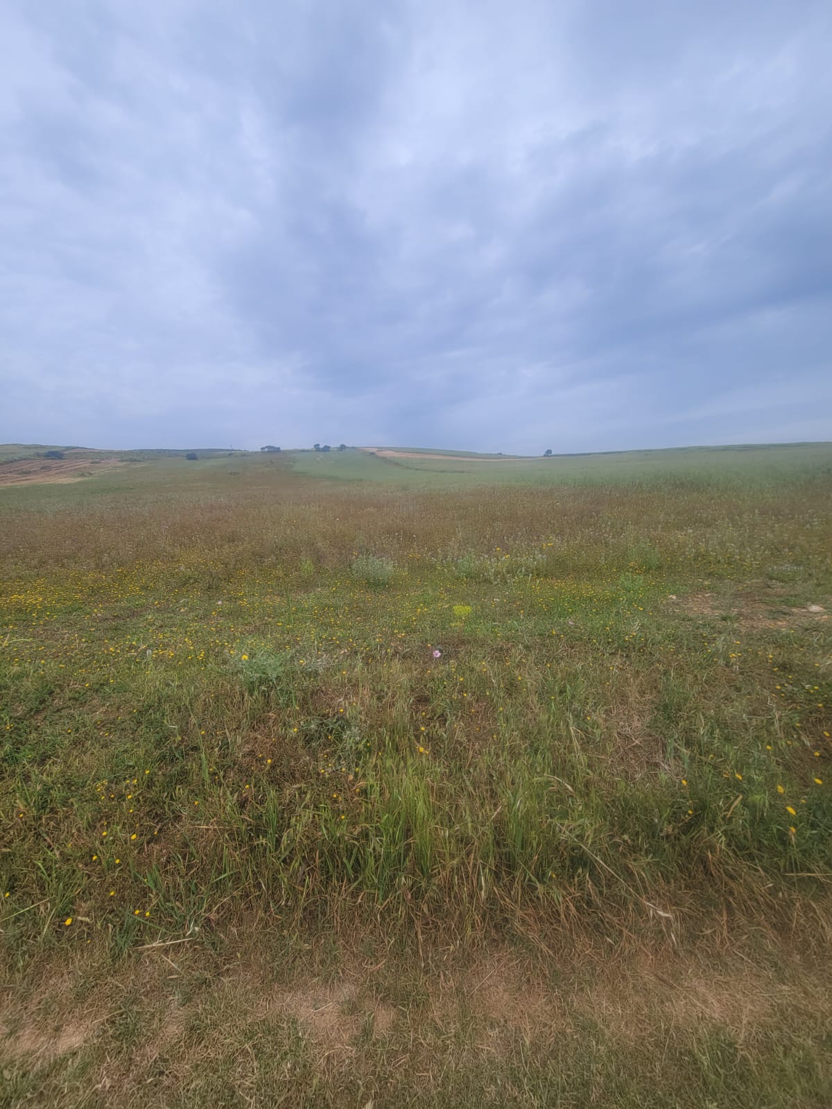 Bizerte Nord&nbsp;Bizerte&nbsp;Terrain&nbsp;Terrain agricole&nbsp;Terrain agricole  � bachateur