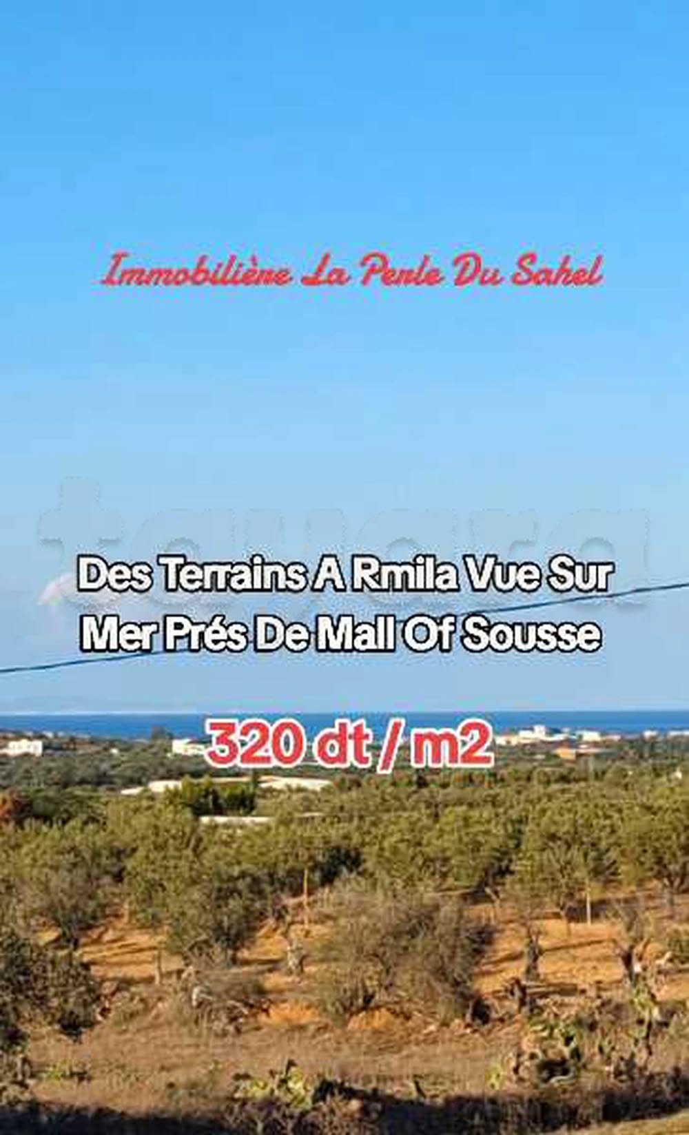 Akouda&nbsp;Chatt Meriem&nbsp;Terrain&nbsp;Terrain agricole&nbsp;Un lotissement de diff�rentes superficies