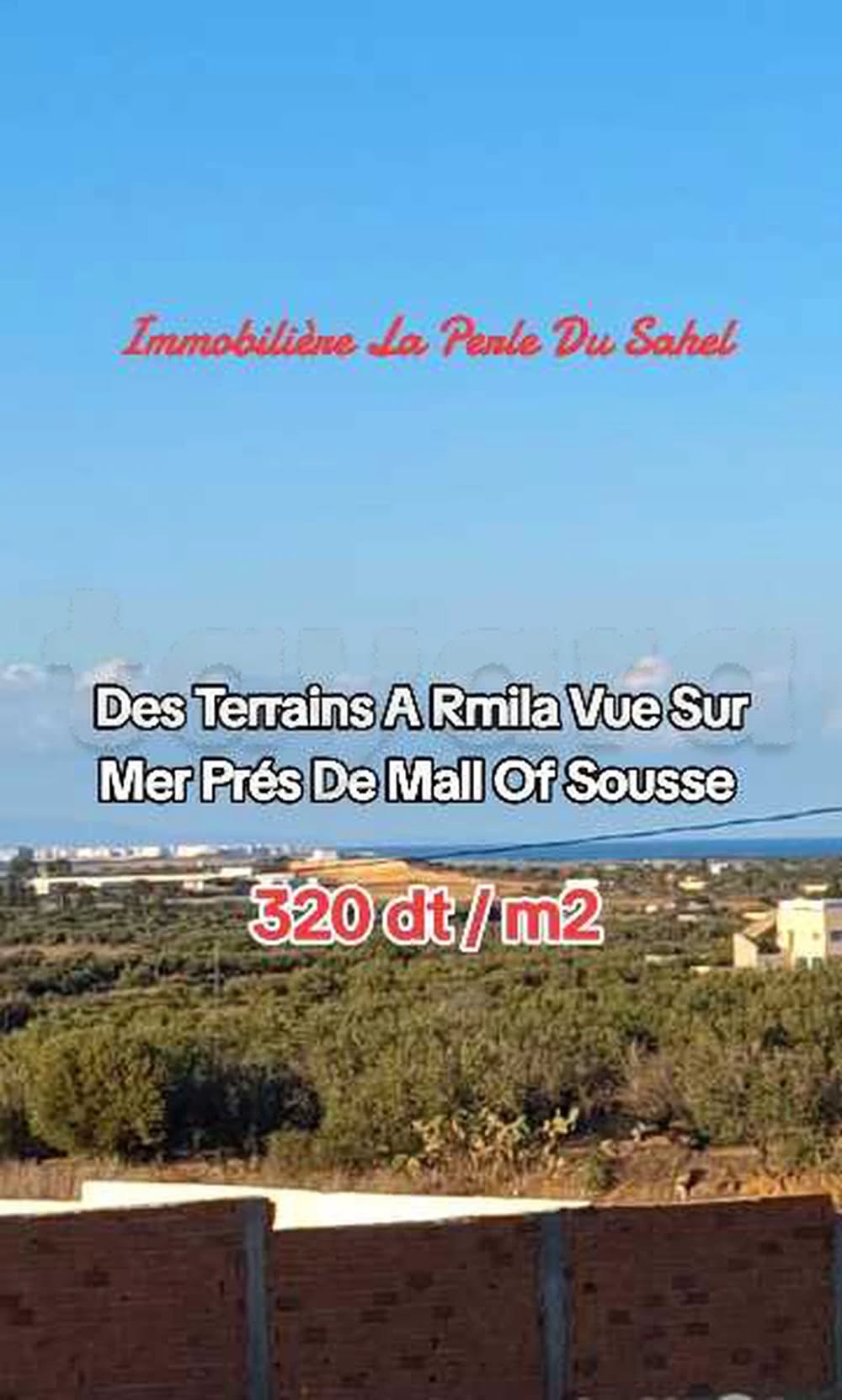 Akouda&nbsp;Chatt Meriem&nbsp;Terrain&nbsp;Terrain agricole&nbsp;Un lotissement de diff�rentes superficies
