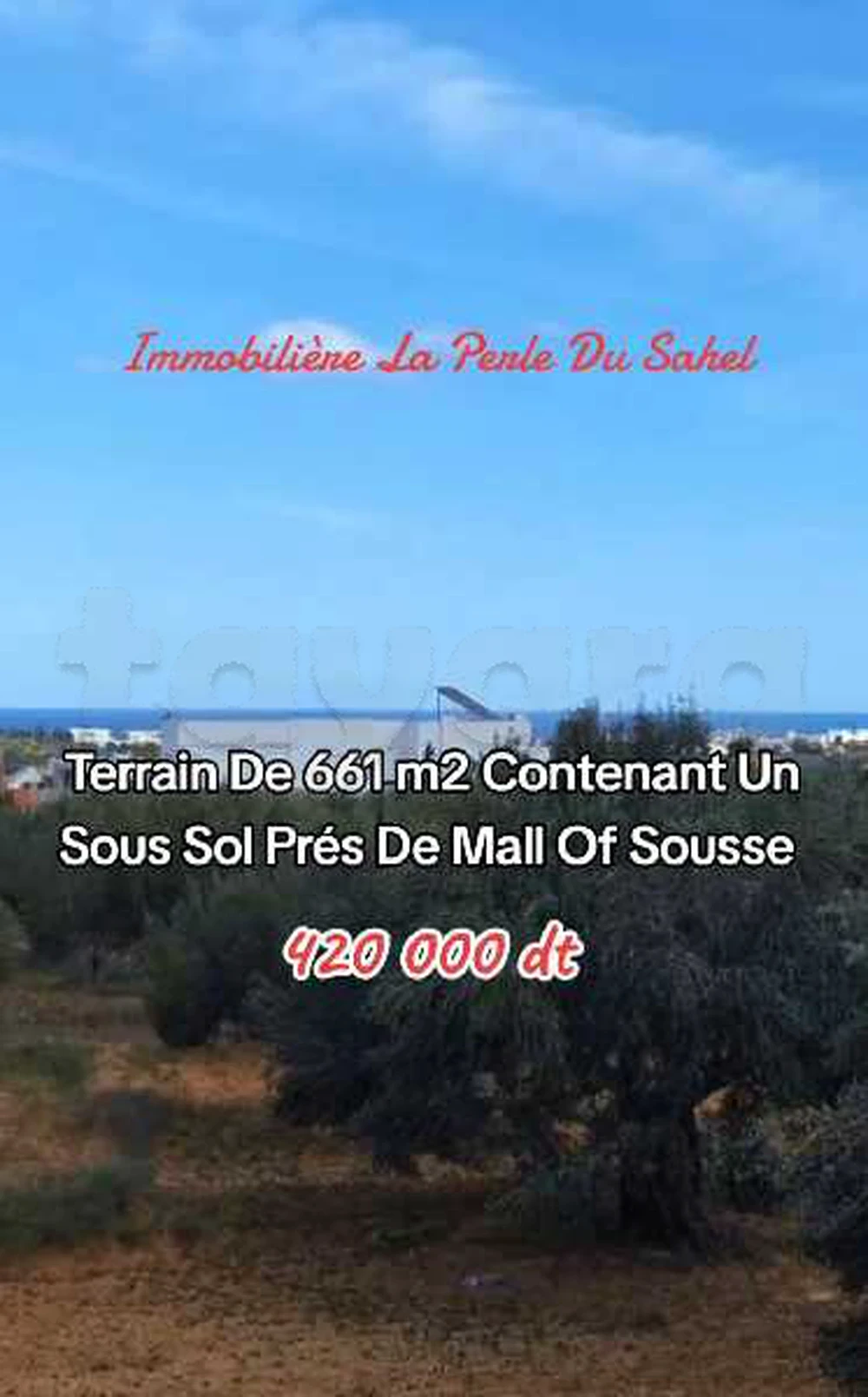 Sidi Bou Ali&nbsp;Sidi Bou Ali&nbsp;Terrain&nbsp;Terrain nu&nbsp;Terrain sous sol