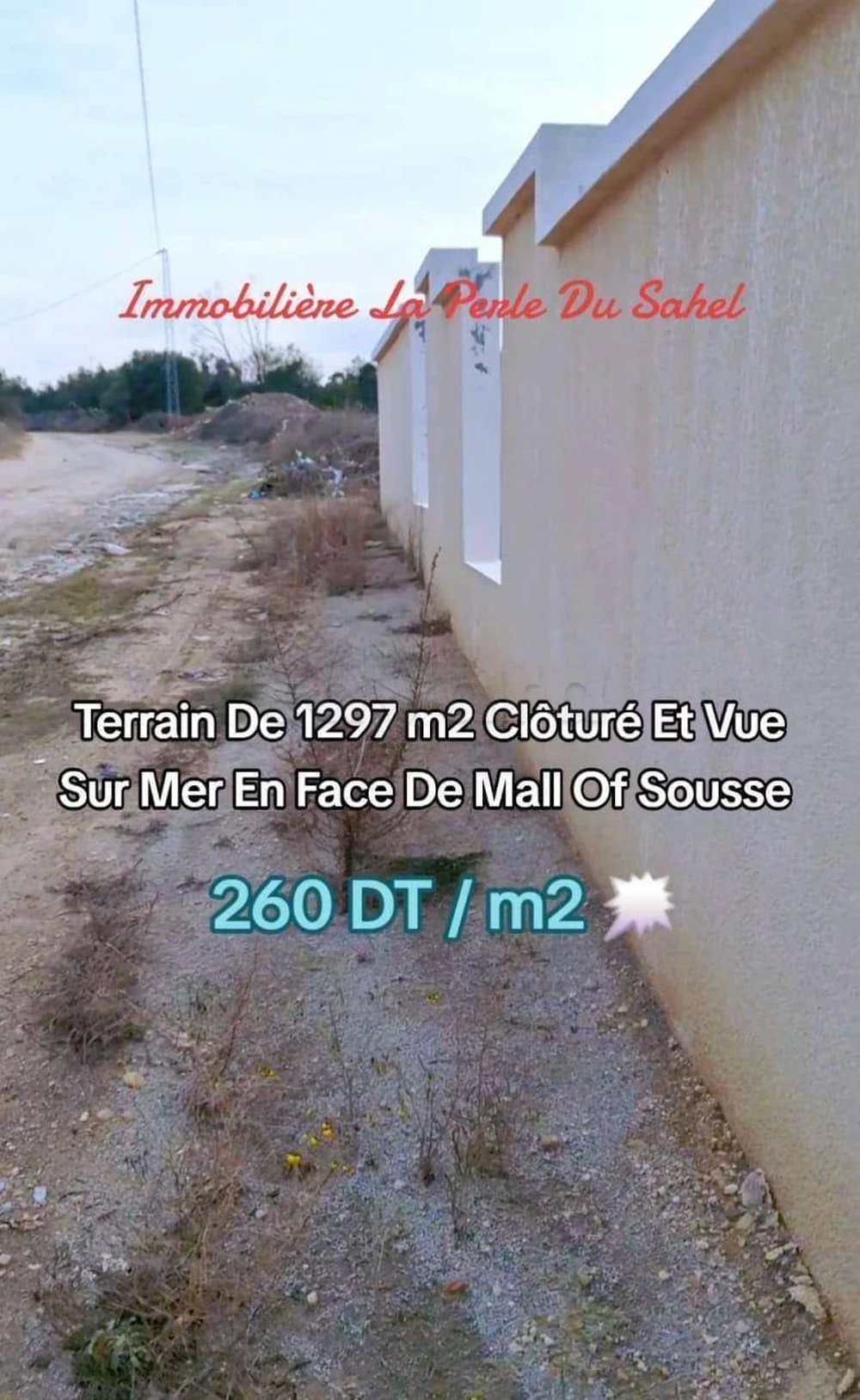 Sidi Bou Ali&nbsp;Sidi Bou Ali&nbsp;Terrain&nbsp;Terrain nu&nbsp;Terrain cloture
