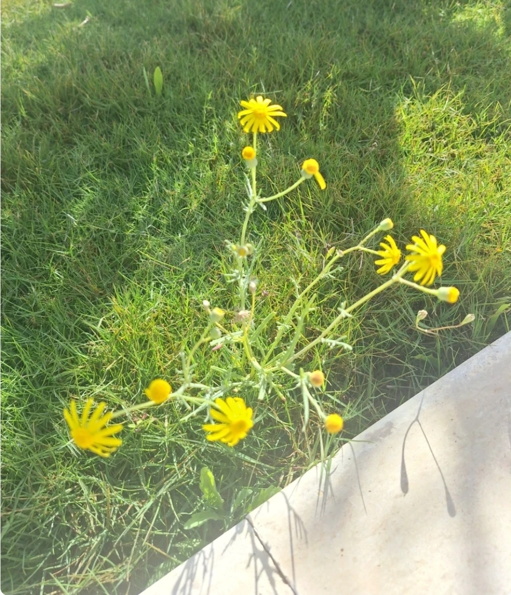 Sfax Ville&nbsp;Sfax&nbsp;Location&nbsp;Maisons&nbsp;Belle maison ensoleill�e sokra km 1 � sfax