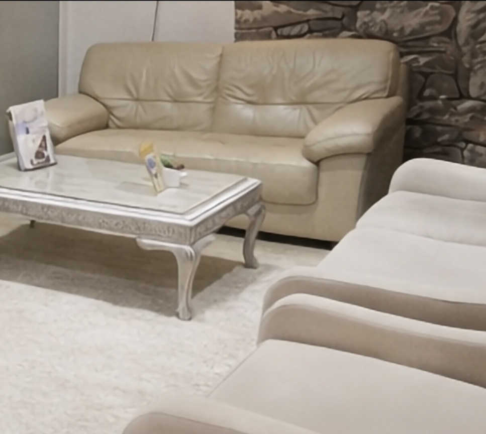 La Marsa&nbsp;El Aouina&nbsp;Salon - Salle � manger &nbsp;Canap�s&nbsp;Canap� en v�ritable cuir