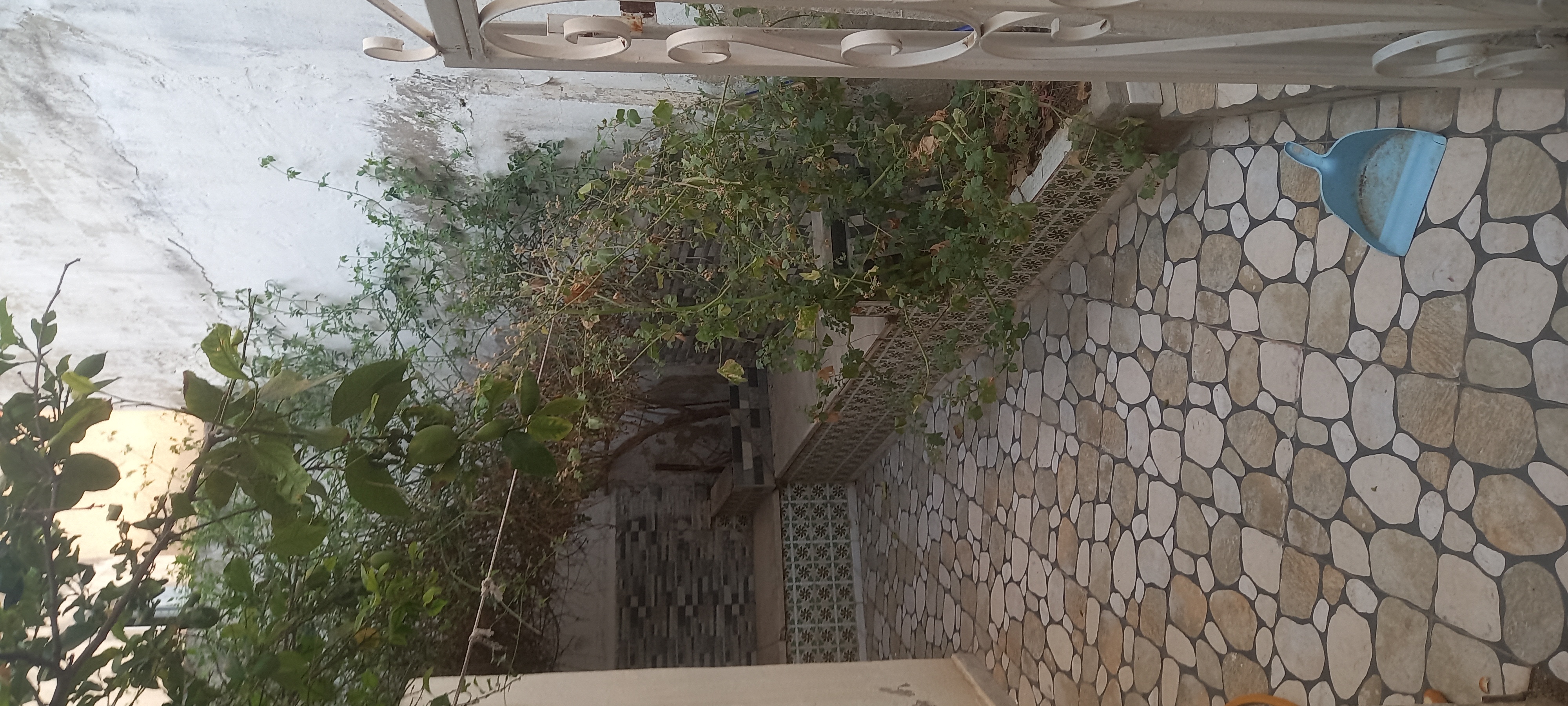 El Omrane Superieur&nbsp;Cite Ibn Khaldoun I&nbsp;Location&nbsp;Appart. 1 pi�ce&nbsp;Std meubl� individuel