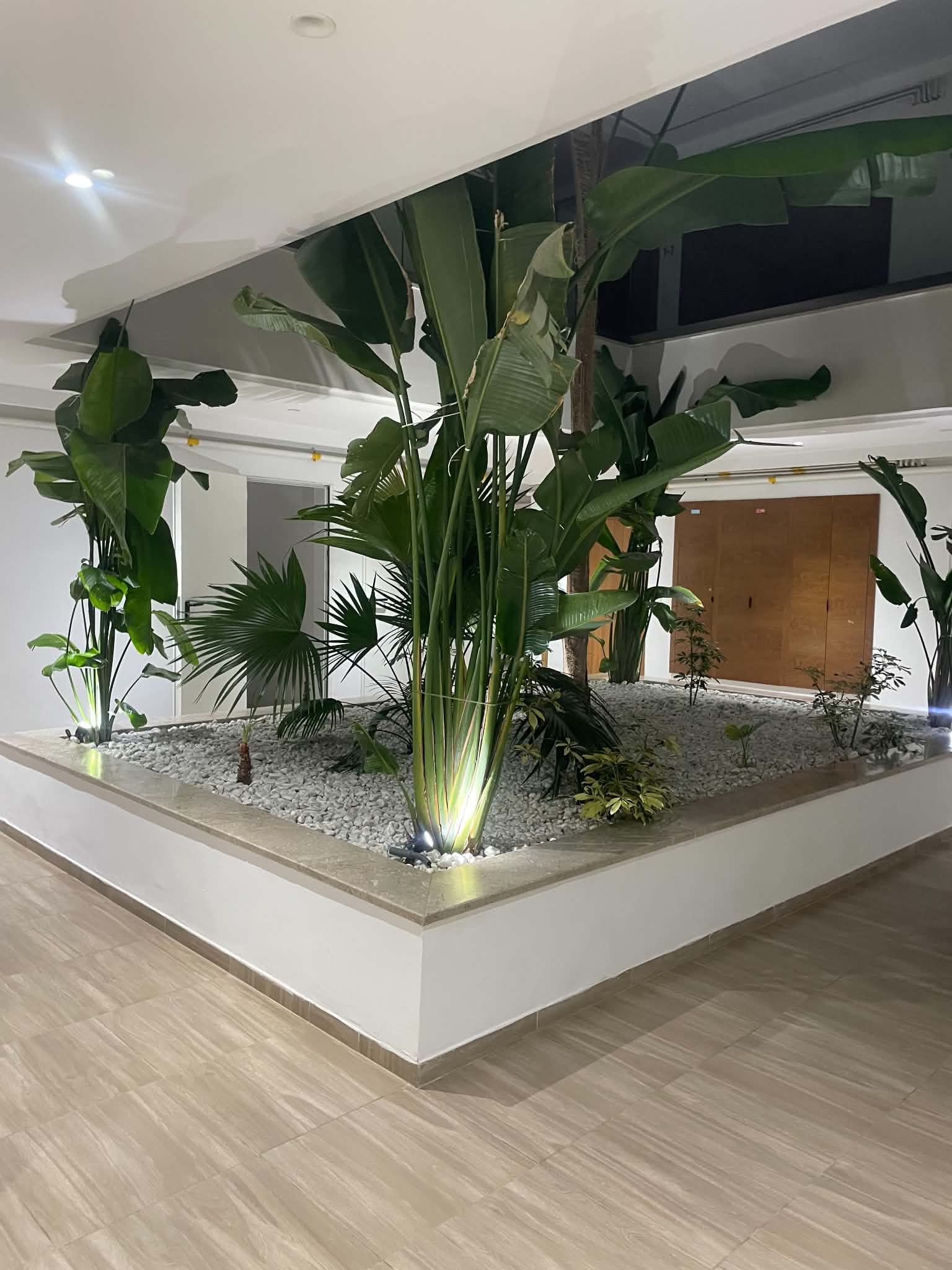 Ariana Ville&nbsp;Cite Ennasr 2&nbsp;Location&nbsp;Appart. 2 pi�ces&nbsp;Appartement haut standing a ennasr