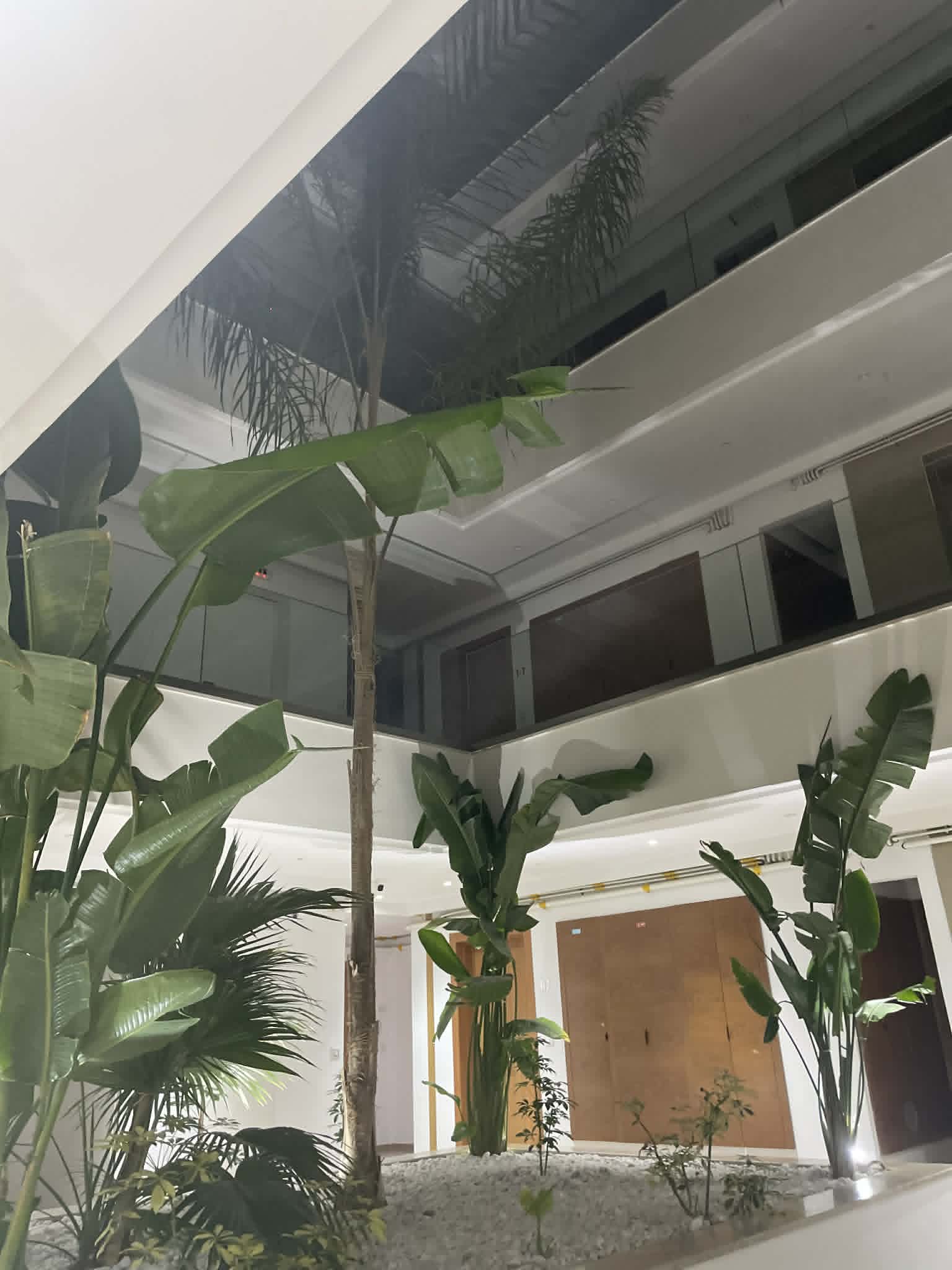 Ariana Ville&nbsp;Cite Ennasr 2&nbsp;Location&nbsp;Appart. 1 pi�ce&nbsp;Appart coquet et neuf  s1
