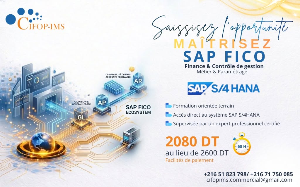 El Menzah&nbsp;El Menzah 1&nbsp;En groupe&nbsp;Autre&nbsp;Formation sap fico