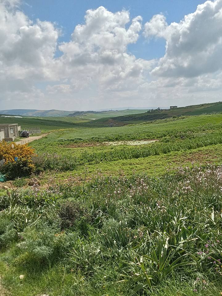 Bizerte Nord&nbsp;Bizerte&nbsp;Terrain&nbsp;Terrain nu&nbsp;Terrain a vende a bechateur