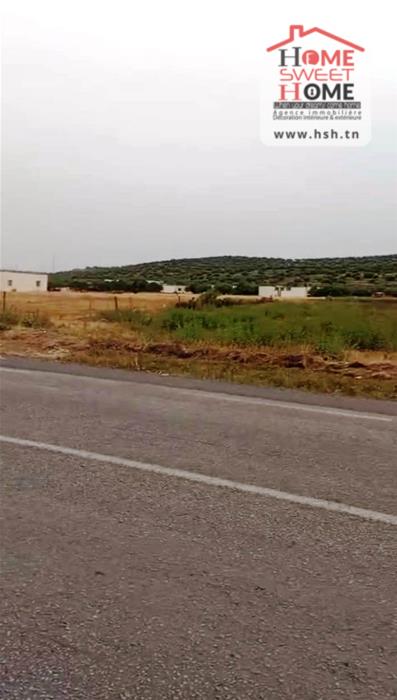 Mejez El Bab&nbsp;Mejez El Bab&nbsp;Terrain&nbsp;Terrain agricole&nbsp;Terrain agricole agrolis � mjez el beb